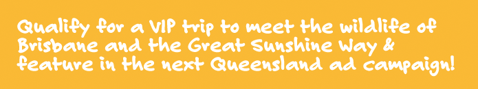 Qualify for a VIP trip to meet the wildlife of Brisbane and the Great Sunshine Way & feature in the next Queensland ad campaign!