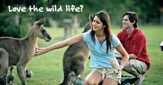 Love the wild life?