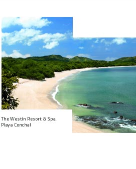 The Westin Resort & Spa - Playa Conchal